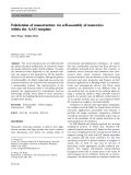 Báo cáo hóa học: "Fabrication of nanostructure via self-assembly of nanowires within the AAO template"