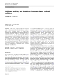 Báo cáo hóa học: "Multiscale modeling and simulation of nanotube-based torsional oscillators"