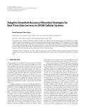 Báo cáo hóa học: "  Adaptive Downlink Resource Allocation Strategies for Real-Time Data Services in OFDM Cellular Systems"