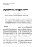 Báo cáo hóa học: "  Effective Radio Resource Management for Multimedia Broadcast/Multicast Services in UMTS Networks"