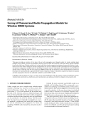 Báo cáo hóa học: "  Research Article Survey of Channel and Radio Propagation Models for Wireless MIMO System"