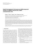 Báo cáo hóa học: " Rapid Prototyping for Heterogeneous Multicomponent Systems: An MPEG-4 Stream over a UMTS "