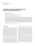 Báo cáo hóa học: " Joint Multiuser Detection and Optimal Spectrum Balancing for Digital Subscriber Lines"