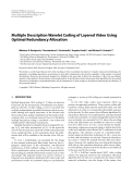 Báo cáo hóa học: " Multiple Description Wavelet Coding of Layered Video Using Optimal Redundancy Allocation"