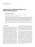 Báo cáo hóa học: " Multilevel Codes for OFDM-Like Modulation over Underspread Fading Channels"