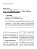 Báo cáo hóa học: " Research Article Logarithmic Adaptive Neighborhood Image Processing (LANIP): Introduction, Connections to Human Brightness Perception, and Application Issues"