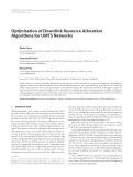 Báo cáo hóa học: "  Optimisation of Downlink Resource Allocation Algorithms for UMTS Networks"