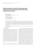 Báo cáo hóa học: " Flexible Analog Front Ends of Reconﬁgurable Radios Based on Sampling and Reconstruction with Internal Filtering"