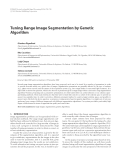 Báo cáo hóa học: " Tuning Range Image Segmentation by Genetic Algorithm Gianluca Pignalberi"