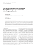 Báo cáo hóa học: "  Fast Pattern Detection Using Normalized Neural Networks and Cross-Correlation in the Frequency Domain"