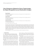 Báo cáo hóa học: " Color Histograms Adapted to Query-Target Images for Object Recognition across Illumination Changes"