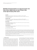 Báo cáo hóa học: " Multiband Segmentation of a Spectroscopic Line Data Cube: Application to the HI Data Cube of the Spiral"