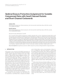 Báo cáo hóa học: "  Optimal Erasure Protection Assignment for Scalable Compressed Data with Small Channel Packets and Short Channel Codewords"