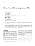 Báo cáo hóa học: "  EM-Based Channel Estimation Algorithms for OFDM "