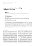 Báo cáo hóa học: " Image Content Authentication Using Pinned Sine Transform"