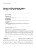 Báo cáo hóa học: "  Recursive Principal Components Analysis Using Eigenvector Matrix Perturbation"