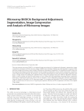 Báo cáo hóa học: " Microarray BASICA: Background Adjustment, Segmentation, Image Compression and Analysis of Microarray Images"