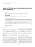 Báo cáo hóa học: " Adaptive Zero-Padding OFDM over Frequency-Selective Multipath Channels"