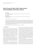 Báo cáo hóa học: "  Spatio-Temporal Video Object Segmentation via Scale-Adaptive 3D Structure Tensor"