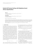 Báo cáo hóa học: " Hybrid 3D Fractal Coding with Neighbourhood Vector Quantisation"