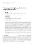 Báo cáo hóa học: " PhantomNet: Exploring Optimal Multicellular Multiple Antenna Systems"