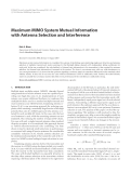 Báo cáo hóa học: " Maximum MIMO System Mutual Information with Antenna Selection and Interference"