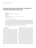 Báo cáo hóa học: " Automatic Video Object Segmentation Using Volume Growing and Hierarchical Clustering"