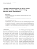 Báo cáo hóa học: " Downlink Channel Estimation in Cellular Systems with Antenna Arrays at Base Stations Using Channel Probing with Feedback"