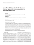 Báo cáo hóa học: " Space-Time Chip Equalization for Maximum Diversity Space-Time Block Coded DS-CDMA Downlink "