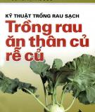 Kỹ thuật trồng rau sạch