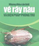 Những điều cần biết về rầy nâu và biện pháp phòng trừ - PGS.TS Phạm Văn Lầm