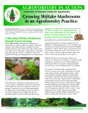 Growing Shiitake Mushrooms in an Agroforestry Practice