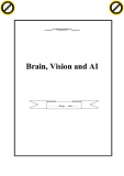 Brain, Vision and AI