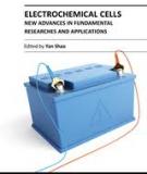 ELECTROCHEMICAL CELLS – NEW ADVANCES IN FUNDAMENTAL RESEARCHES AND APPLICATIONSE