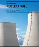 ADVANCES IN NUCLEAR FUELE