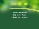 Bài giảng: Sinh thái học