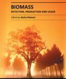 BIOMASS – DETECTION, PRODUCTION AND USAGE