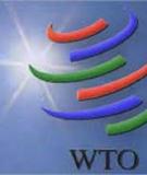 Tổng quan gia nhập WTO