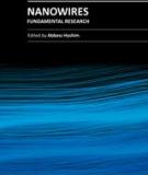 NANOWIRES - FUNDAMENTAL RESEARCH - P1