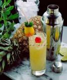 Sổ tay pha chế cocktail_P2