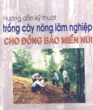 Cách trồng cây nông lâm nghiệp cho đồng bào miền núi