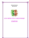 Giáo trình công nghệ sinh học: Enzyme - PGS.TS Nguyễn Qúy Hai (Chủ biên)