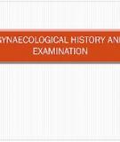 The gynaecological history and examination