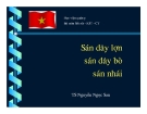 Sán dây lợn sán dây bò sán nhái - TS Nguyễn Ngọc San