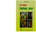 Các kỹ thuật trồng mía