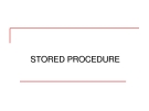 Stored Procedure