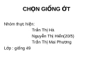 Đề tài: Chọn giống ớt