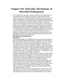 Chapter 114. Molecular Mechanisms of Microbial Pathogenesis