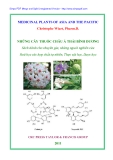 Medicinal Plants of Asia And the Pacific