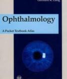 Ophthalmology A Short Textbook